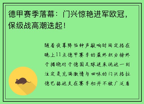 德甲赛季落幕：门兴惊艳进军欧冠，保级战高潮迭起！