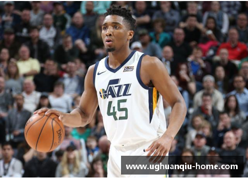 NBA球队全面解析：历史、球员与战绩一网打尽
